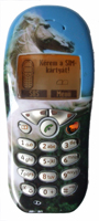 Siemens C45
