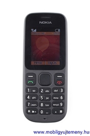 Nokia 100