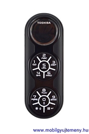 Toshiba G450