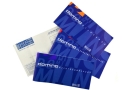 Westel 900